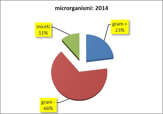 Pagina 12 di 48 Flora microbica ospedaliera: anno 2014 4 Nel 1 semestre 2014 si è osservata la seguente ripartizione delle specie microbiche