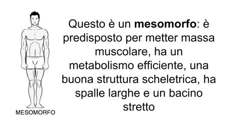 IL SOMATOTIPO I somatotipi sono una classificazione biotipologica identificata nel 1940 dal medico William Sheldon che ci suddivide in 3 categorie: Ectomorfi, Endomorfi, Mesomorfi.