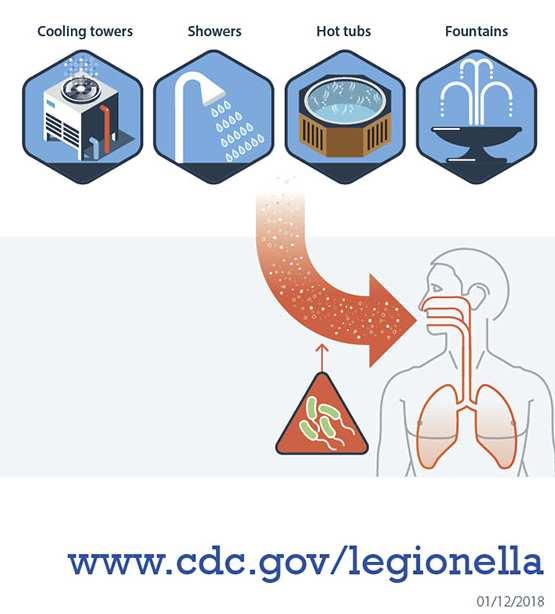 Trasmissione La legionellosi viene trasmessa tramite