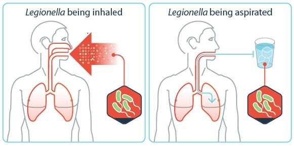 specie di Legionella (aerosol).