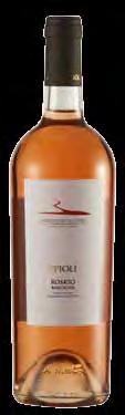 PIPOLI AGLIANICO DEL VULTURE D.O.C. 1771012 / 750 ml x 6 ROSSO - 13,5 % VOL.