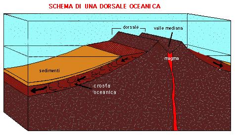 lungo le dorsali oceaniche esce magma (che proviene dal mantello) e si