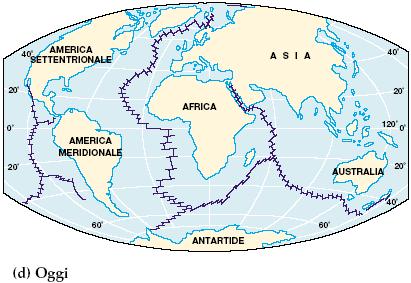 Ora la TETTONICA DELLE