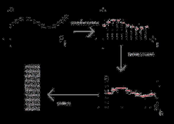 Dopo ogni periodo di campionamento : à si preleva un campione à si quantizza il segnale analogico in quell istante