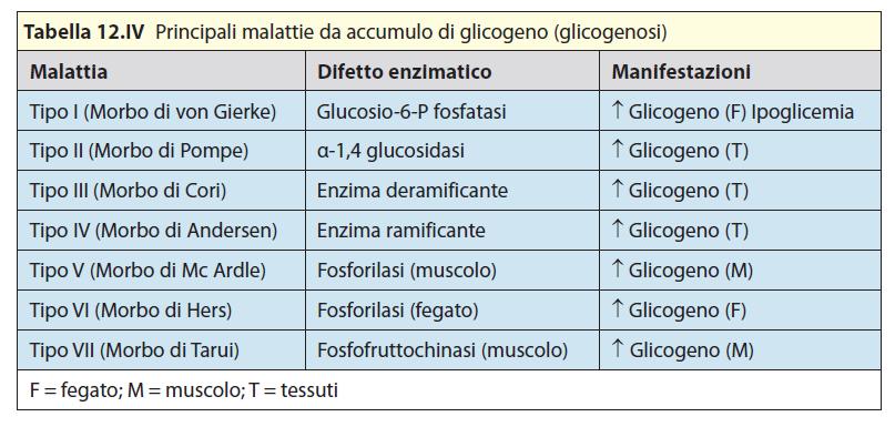 Malattie da accumulo di glicogeno o glicogenosi Dovute a