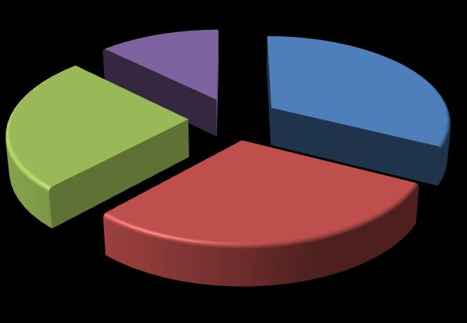 FREQUENTANTI ISTITUZIONI FORMATIVE IN PROVINCIA DI BERGAMO 25,53%