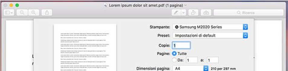Pag. n. 13 di pagg. 14 richiamare il comando di stampa dal menu File e selezionare la voce Salva come PDF dal menu a tendina PDF collocato in basso a sinistra nella finestra che si apre.