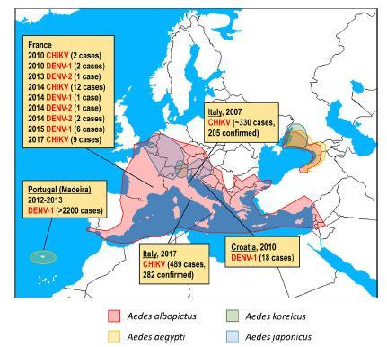 Distribuzione di zanzare Aedes spp in Europa e casi di trasmissione