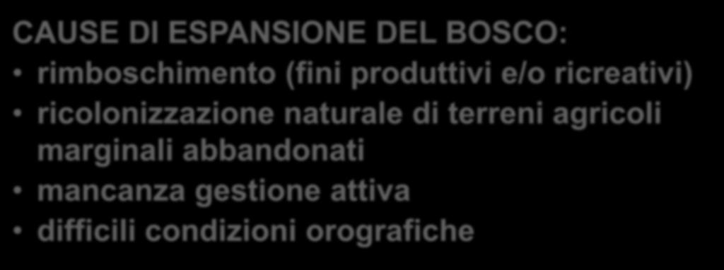 CAUSE DI ESPANSIONE DEL BOSCO: rimboschimento (fini