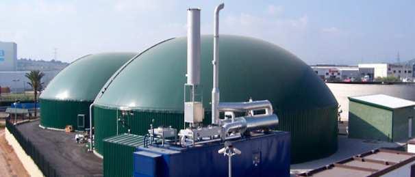 Valutazione di sostenibilità di filiere della bioenergia Confronto a livello internazionale Biogas prodotto a partire dalla