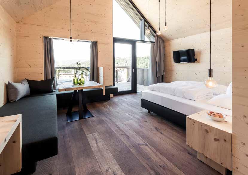 Suites Alpina Cembro (40 m²) con