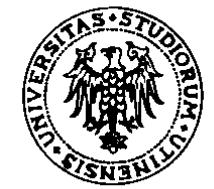 Avviso di selezione per studenti tesserati o che procederanno al tesseramento con la Rugby Udine 1928 e che si iscriveranno a corsi di laurea attivati presso l Università di Udine per l a.a. 2015-16 Art.