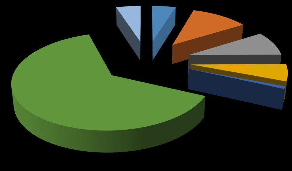 La situazione in Italia: Denunce di Malattie Professionali Anno 2015 Classe di ICD-10 altre; 5% 5% 11%