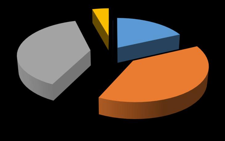 La situazione in Italia: Malattie Professionali riconosciute Anno 2015 da sovraccarico biomeccanico 39% 4% 18% Dist dei nervi delle radici nervose e dei plessi nervosi Sistema nervoso (G50-G59)