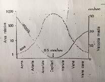 2.2 Volume ematico Il volume di sangue contenuto in un tratto complessivo del circolo sistemico non è correlato all area della sezione, ma alle caratteristiche morfo-funzionali del tratto stesso: