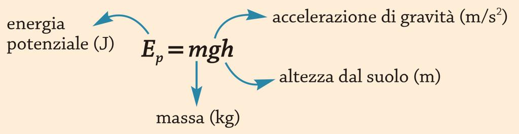 L energia potenziale L energia potenziale gravitazionale L energia potenziale gravitazionale è l energia immagazzinata in un corpo sottoposto alla forza di gravità L