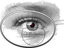 Il campo visibile attraverso la zona per vicino aumenta con l aumentare della dimensione di questa. Una zona da vicino di grandi dimensioni riduce l ampiezza della zona da lontano.