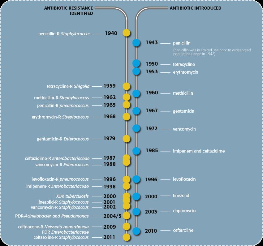 Timeline delle