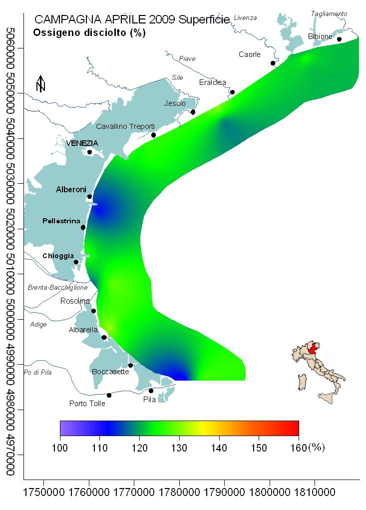 Fig.2 mappa di distribuzione dei parametri ossigeno disciolto e clorofilla a in superficie e al fondo Dai rilevamenti dell ossigeno disciolto misurato in superficie si può notare che, nell intera