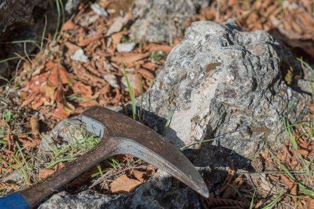 Morfologia del territorio Rocce osservate Il calcare (CaCO3) affiorante è attribuito anch esso