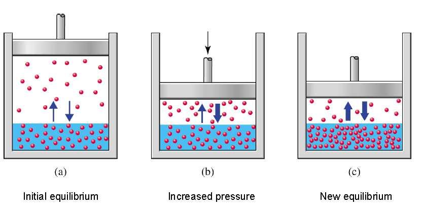 Miscele gas-liquido: legge di Henry La solubilità (frazione molare X G ) di un gas in una soluzione è proporzionale alla pressione parziale