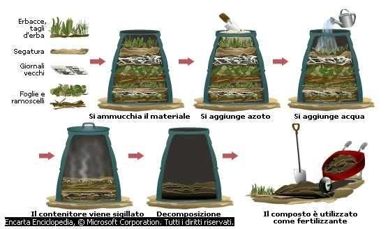 Il compostaggio prevede una complessa trasformazione biochimica dei materiali di partenza, attraverso varie fasi, sia a livello industriale che a livello domestico: 1.