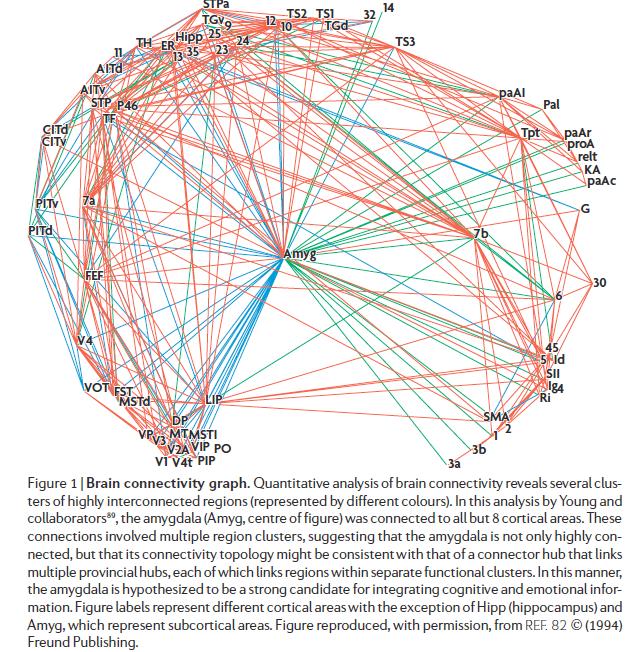 Teorie e modelli: filosofia della scienza //Le teorie come insiemi di modelli (Giere) I call my understanding of models representational because it takes models not primarily as providing a means for