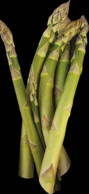 CARATTERISTICHE TAPPA 5 L asparago verde di Capitanata, eccellenza agroalimentare pugliese, nasce in una zona che agli uliveti secolari, abbina pale eoliche e pannelli solari.