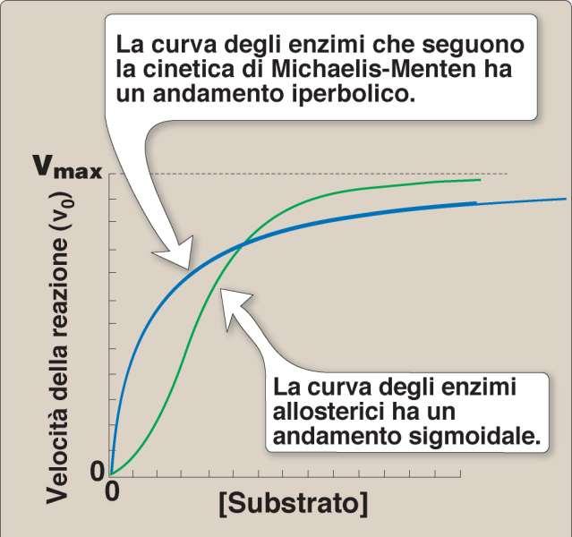 Enzimi