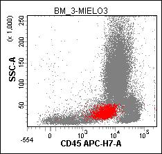 CD34+