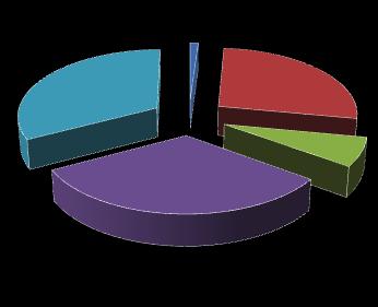 33% 27% 7% 32% Ripartizione