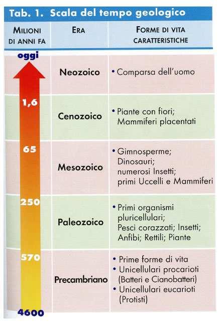 COME SI ESPRIME LA SCALA DEL TEMPO GEOLOGICO In che modo si possono suddividere i 4,6 miliardi di anni di età della Terra per potere stabilire una cronologia della storia del nostro pianeta?