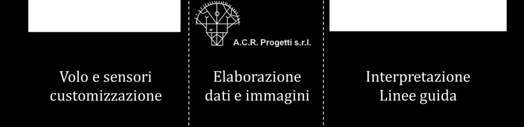 3 Ottimizzazione dei fattori produttivi in risicoltura tramite l analisi aerea con droni Verificare la tecnica di volo Definire una metodica di gestione ed