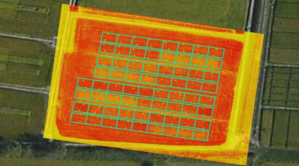 NDVI