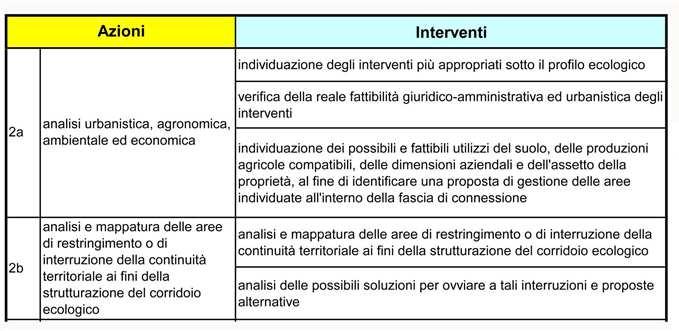 STRATEGIA DI INTERVENTO - FASI, AZIONI INTERVENTI FASE 2 - Studio di fattibilità per la