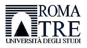 Università degli Studi Roma Tre Facoltà di Ingegneria Corso di laurea in Ingegneria Civile per la Protezione dai Rischi Naturali Relazione di fine tirocinio Studente: