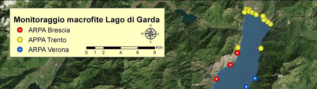 Elementi di Qualità Biologica: Macrofite sommerse 66 transetti