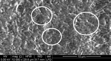 L attività biocida e l attività preventiva sono state verificate su varie tipologie di materiali e finiture, dimostrando che anche variando parametri come supporti e microrganismi, l