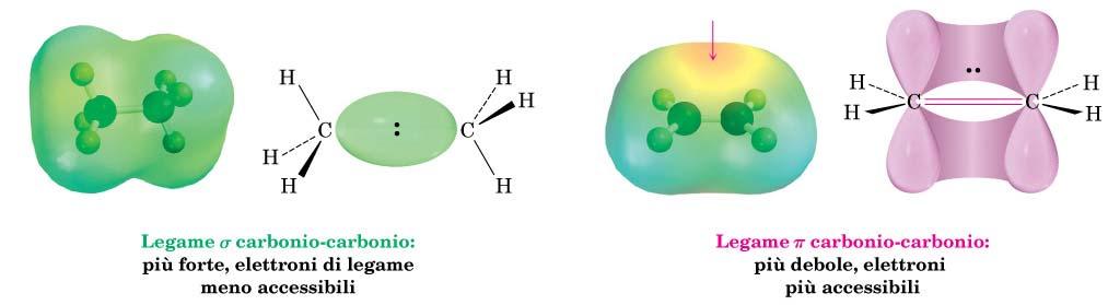 2 Alcuni nucleofili ed elettrofili. Le mappe di potenziale elettrostatico identificano gli atomi nucleofili (rosso; negativo) e gli atomi elettrofili (blu; positivo).