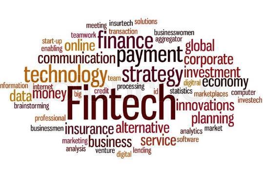 FinTech, Instant Payments FinTech Digitalizzazione dei servizi finanziari crowdfunding peer-to-peer lending asset management gestito con algoritmi gestione dei pagamenti credit-scoring raccolta dei