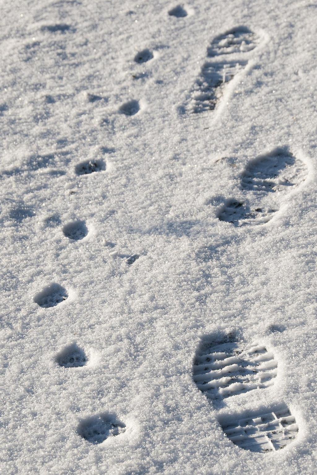 È di supporto perché - può essere una risorsa e un elemento protettivo perché offre sostegno, ascolto e la sua presenza fa sentire il paziente meno solo - può essere un