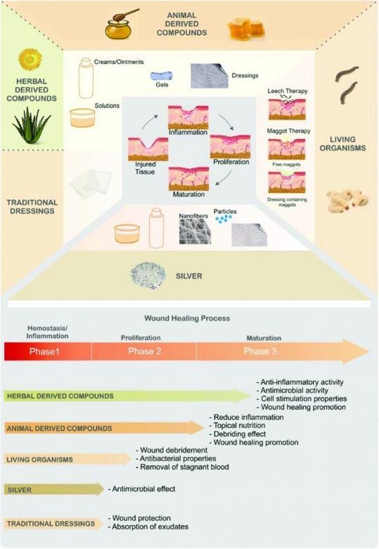 LE MEDICAZIONI NATURALI Mechanisms of antibacterial and wound healing effects of honey COMPREHENSIVE INVITED REVIEWS Traditional Therapies for Skin Wound Healing Ru ben F. Pereira and Paulo J.