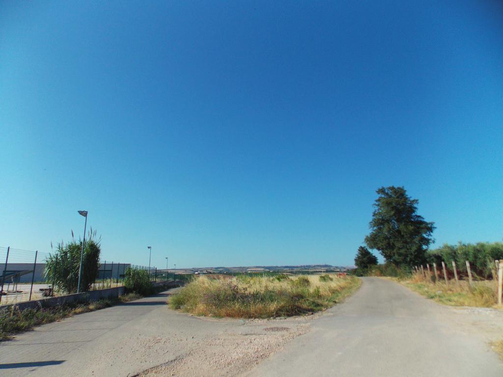 - la vecchia strada statale 16 (strada provinciale 161) nel tratto compreso tra il ponte sull autostrada A14 n.