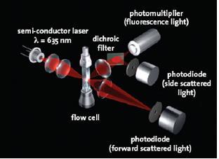 UF1000i utilizza un sistema ottico che rileva intensità e durata della luce diffusa frontalmente e di quella laterale.