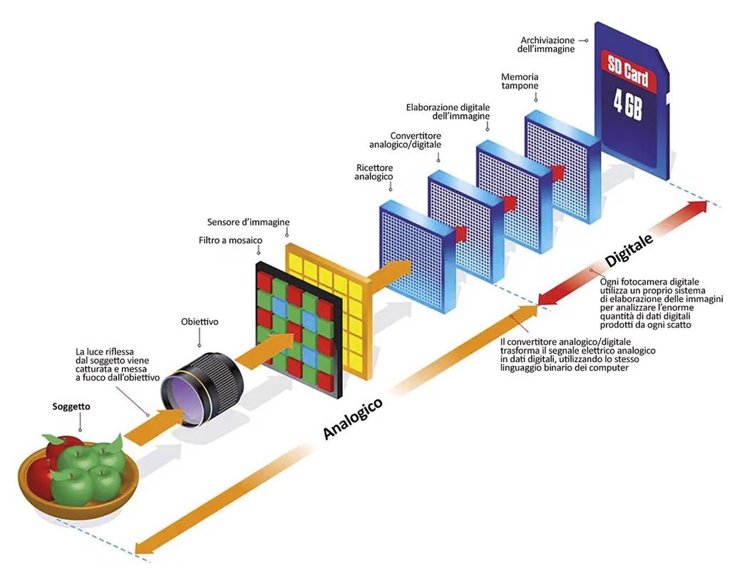 memoria. Dal sensore alla schede di memoria l iter: La formazione di un immagine digitale segue un percorso preciso: 1. 2. 3. 4.