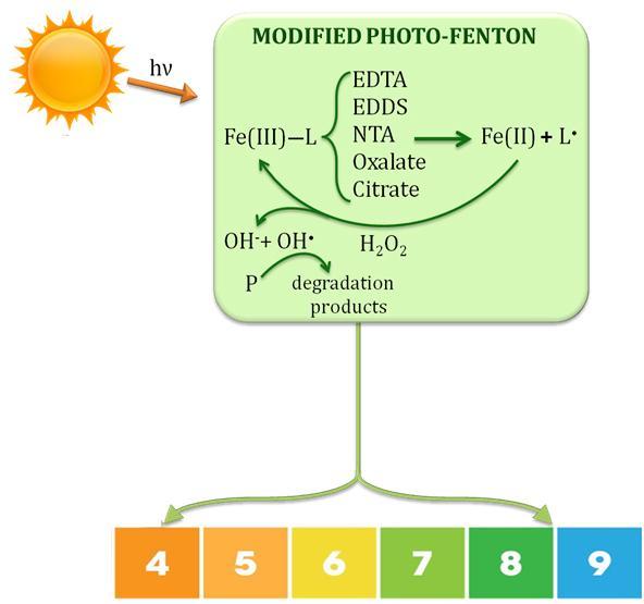 complessanti del ferro: [L] assorbire significativamente la radiazione