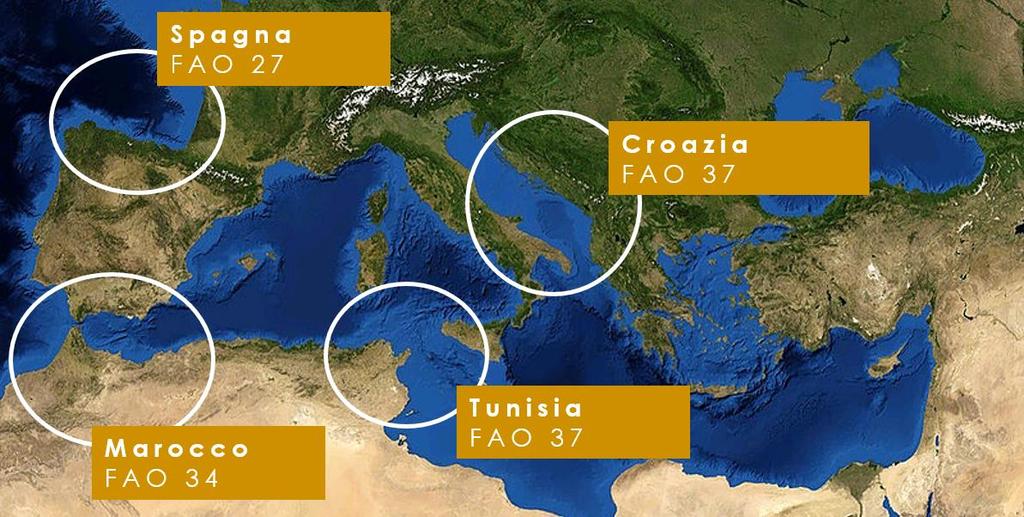 Metodi di pesca Rizzoli Emanuelli utilizza alici pescate con metodi di pesca selettivi e considerati meno impattanti, tra i quali la pesca al cerchio che si avvale di reti da