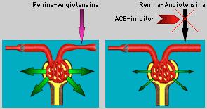 Un farmaco ACE-inibitore è in grado di bloccare questo meccanismo compensatorio, impedendo la formazione dell'angiotensina