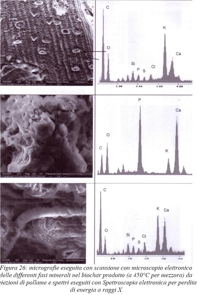 caratteristiche del biochar Sinistra: