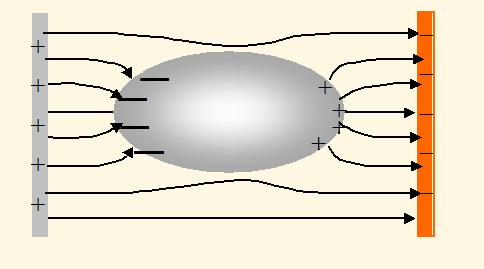 Camp elettric sulla superficie di un cnduttre Sappiam che il camp elettric estern è perpendiclare alla superficie del cnduttre stess Applichiam il terema di Gauss ad una superficie cilindrica (in rss